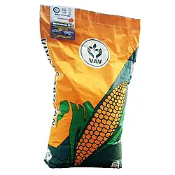 Насіння кукурудзи Кортес (ФАО 230)