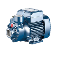 Вихровий насос Pedrollo PKm 60