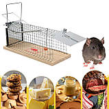 Пастка, живоловка, для гризунів XXL, 2 шт, фото 7