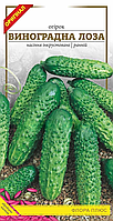 Насіння огірка сорт Виноградна лоза 1г. Ранньостиглий