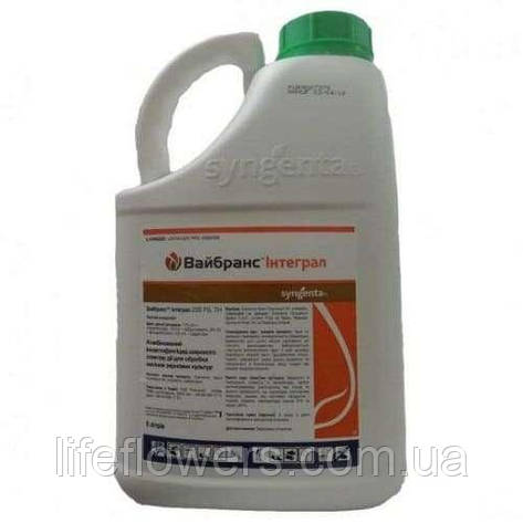 Протруювач Вайбранс Інтеграл 235 FS 5л, фото 1