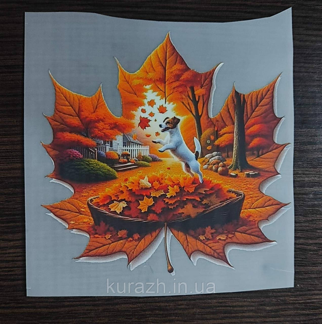 Термоналіпка на одяг  "Кленовий листок", фото 1