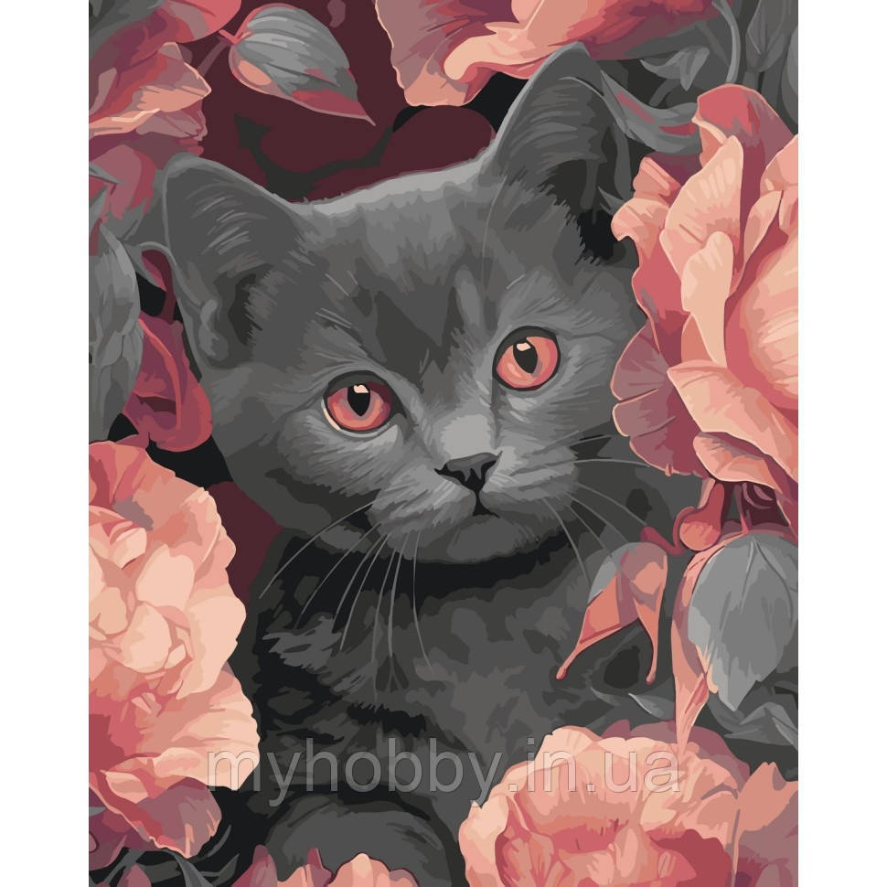Картина по номерам "Сірий котик"  40*50см, фото 1