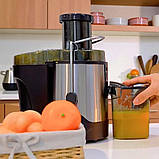 Соковижималка електрична 1000 Вт з нержавіючої сталі 3 швидкості роботи для твердих овочів і фруктів RAF, фото 2