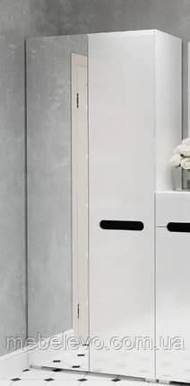 Шафа Б'янко 2ДЗ з дзеркалом 2100х900х400мм білий глянець Світ Меблів, фото 1