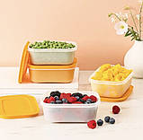 Охлаждающий лоток (450мл), 1 шт, фото 5