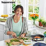 Охлаждающий лоток (450мл), 1 шт, фото 6