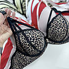 Жіночі бюстгальтери 31626 В   Biweier, фото 4