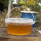 Мед Лугове Різнотрав'я з стаціонарної пасіки 0,5 л (700 грам) 2025 р, фото 2