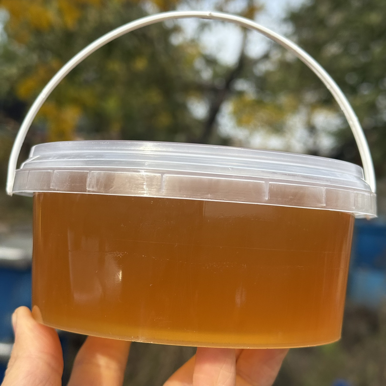 Мед Лугове Різнотрав'я з стаціонарної пасіки 0,5 л (700 грам) 2025 р, фото 1