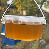 Мед Лугове Різнотрав'я з стаціонарної пасіки 0,5 л (700 грам) 2025 р, фото 4