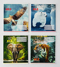 Зошит 48 аркушів у клітинку (48К123) Поліграфіст