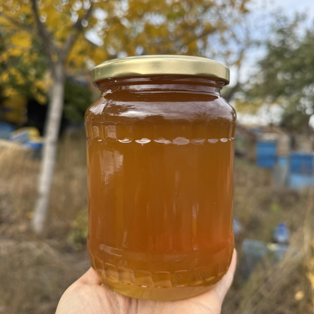 Мед Лугове Різнотрав'я з стаціонарної пасіки 0,7 л (950 грам) 2025 р, фото 1