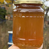 Мед Лугове Різнотрав'я з стаціонарної пасіки 0,7 л (950 грам) 2025 р, фото 3