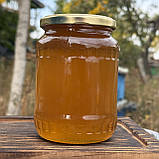 Мед Лугове Різнотрав'я з стаціонарної пасіки 0,7 л (950 грам) 2025 р, фото 4