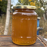 Мед Лугове Різнотрав'я з стаціонарної пасіки 0,7 л (950 грам) 2025 р, фото 2