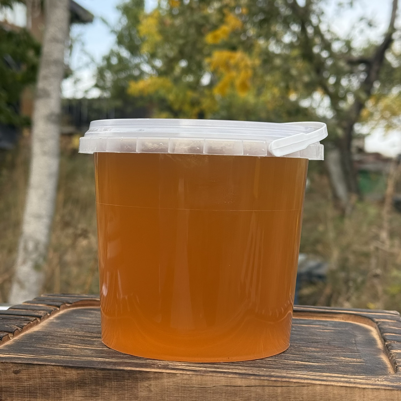 Мед Лугове Різнотрав'я з стаціонарної пасіки 1 л (1400 грам) 2025 р, фото 1