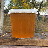 Мед Лугове Різнотрав'я з стаціонарної пасіки 1 л (1400 грам) 2025 р, фото 3