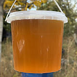 Мед Лугове Різнотрав'я з стаціонарної пасіки 1 л (1400 грам) 2025 р, фото 2