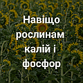 Калійно-фосфорне добриво: здорові рослини, щедрий урожай