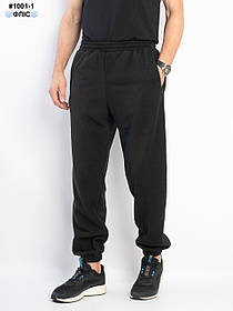 1001-1 Спортивні штани чоловічі на манжеті polar фліс норма (5 од: 48,50,52,54,56)