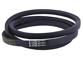 Ремінь м/б B (1700) тип 2 AMG