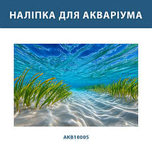Наліпка для акваріума Піщане узбережжя під водою (400х650), фото 3