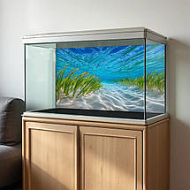 Наліпка для акваріума Піщане узбережжя під водою (400х650), фото 2