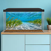 Наліпка для акваріума Піщане узбережжя під водою (400х650), фото 4
