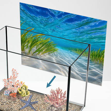 Наліпка для акваріума Піщане узбережжя під водою (400х650), фото 1