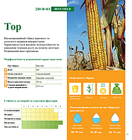 Насіння кукурудзи ТОР (ФАО 280) ВНІС