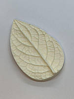 Молд Лист бузка універсальний для фоамірану та глини