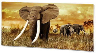 Обігрівач HGlass IGH 4080