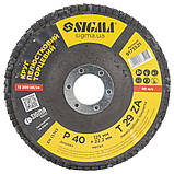 Круг пелюстковий торцевий Т29 (конічний) ZA Ø 125 мм P40 SIGMA (9173521), фото 2