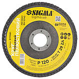 Круг пелюстковий торцевий Т29 (конічний) ZA Ø 125 мм P120 SIGMA (9173561), фото 2