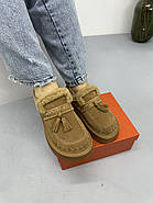 Лофери жіночі зимові MalinDagely C626-6M замшеві колір Сamel, фото 3