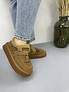 Лофери жіночі зимові MalinDagely C626-6M замшеві колір Сamel, фото 4