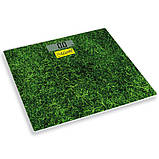 Електронні персональні ваги Maestro MR-1824, фото 3