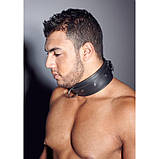 Нашийник із натуральної шкіри з металевим кільцем, чорний, L/XL, фото 4