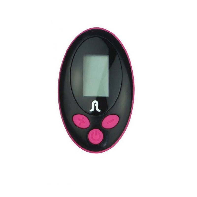 Пульт ДК Adrien Lastic LRS для іграшок, чорний, фото 1