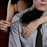 Перо Premium Feather Tickler UPKO з позолоченою ручкою, фото 2