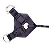 Труси для страпону Chisa RGB Luxe Harness, чорні, фото 4