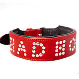 Нашийник червона шкіра BAD BOY ручна робота, Голландія, фото 2