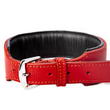 Нашийник червона шкіра BAD BOY ручна робота, Голландія, фото 3