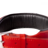 Нашийник червона шкіра BAD BOY ручна робота, Голландія, фото 4