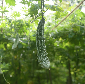 83- Органічне підриємство