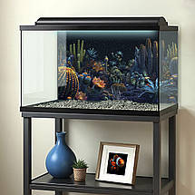 Наліпка для акваріума, Яcкраві кактуси для фону у тераріум (400х650), фото 3