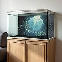 Наліпка для акваріума Печера під водою (400х650), фото 2