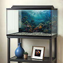 Наліпка для акваріуму Рибки з рифами під водою (400х650), фото 3