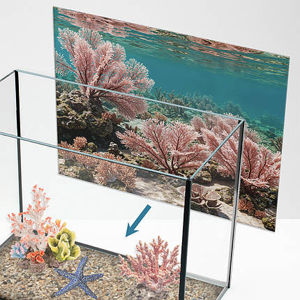 Наліпка для акваріума Рожеві рифи під водою (400х650), фото 1